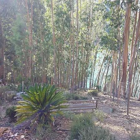 Quinta Da Martinela Σπίτι διακοπών Ferreira do Zêzere