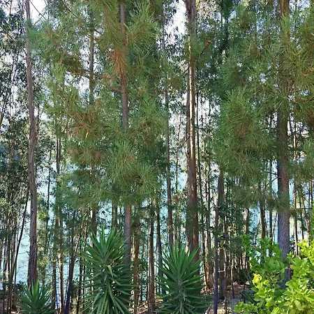 Quinta Da Martinela * Ferreira do Zêzere
